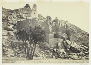 Doum Pálma és rommecset, Philæ alkotó: Francis Frith