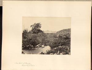 Jerikó kútja, Elizeus által meggyógyítva alkotó: Francis Frith