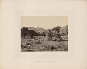 A bűn vadonja (Wady Shellal) alkotó: Francis Frith