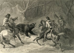 „Native Californians Lassoing a Bear”, 1874.