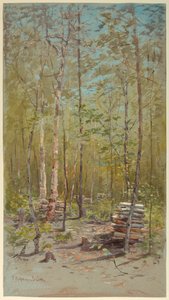 Nyírfák alkotó: Francis Hopkinson Smith