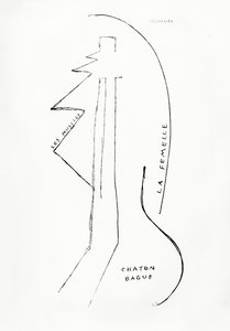Poemes et Dessins de la Fille nee sans Mere, no.23, kiadó: Imprimeries Reunies, Lausanne. alkotó: Francis Picabia