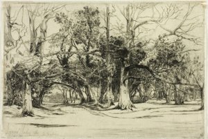 Egy mellékút Tipperaryben alkotó: Francis Seymour Haden