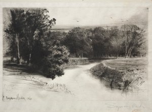 Naplemente Írországban, 1863. alkotó: Francis Seymour Haden