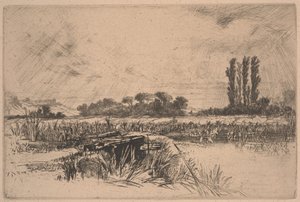 Vízi rét (rézkarc és szárazhegy) alkotó: Francis Seymour Haden