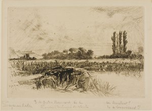 Vízi rét alkotó: Francis Seymour Haden