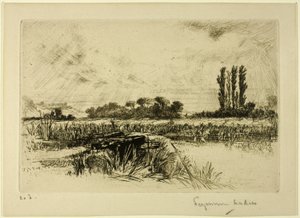 Vízi rét alkotó: Francis Seymour Haden