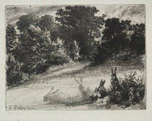 Fésű alsó. alkotó: Francis Seymour Haden