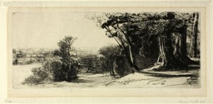 Kora reggel, Richmond Park alkotó: Francis Seymour Haden