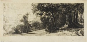 Kora reggel, Richmond Park alkotó: Francis Seymour Haden