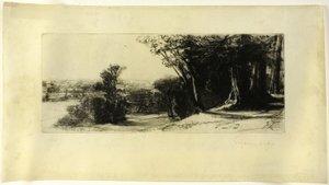 Kora reggel, Richmond Park alkotó: Francis Seymour Haden