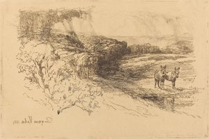 Encombe Woods (1.) alkotó: Francis Seymour Haden
