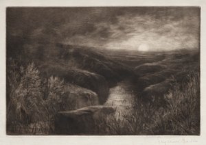 A szúnyog kísértete. alkotó: Francis Seymour Haden