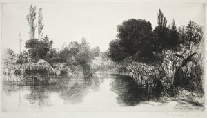 Shere Mill Pond, No. 11 (A nagy tányér) alkotó: Francis Seymour Haden