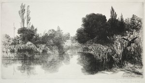 Shere Mill Pond, No. 11 The Large Plate, 1860 és később. alkotó: Francis Seymour Haden
