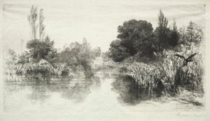 Shere Mill Pond The Larger Plate, 1860. alkotó: Francis Seymour Haden