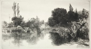 Shere Mill Pond The Larger Plate, 1860. alkotó: Francis Seymour Haden