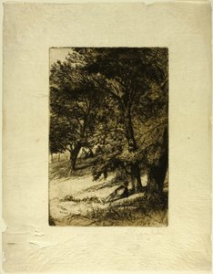 Tető alatt... alkotó: Francis Seymour Haden