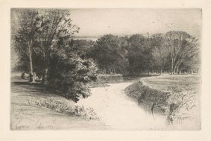 Naplemente Írországban alkotó: Francis Seymour Haden