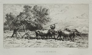 Ökörcsapat alkotó: Francis Seymour Haden