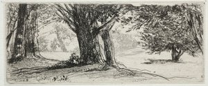 A Holly Field. alkotó: Francis Seymour Haden