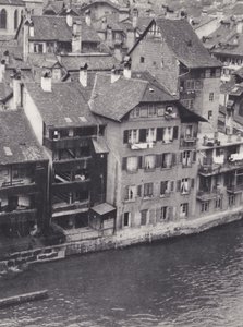 Berni Oberland: Bern (f/w fotó)
