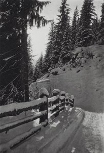 Az Alpok: Téli reggel, St Anton közelében (f/w fotó)