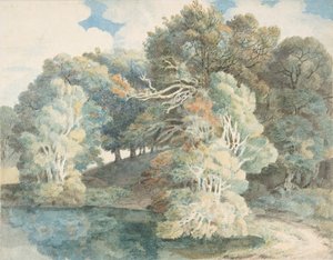 Fák a tó mellett, Peamore Park, Exeter közelében, Devon, 1790-1810. alkotó: Francis Towne
