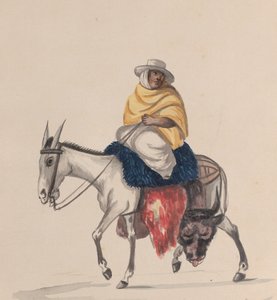 Egy szamáron lovagló hentes, egy perui viseletet ábrázoló rajzcsoportból, kb. 1848.