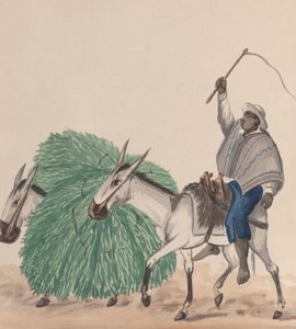 Egy öszvéren lovagló férfi, felemelt ostorral, mellette egy másik öszvér fűvel megrakva..., kb. 1848.