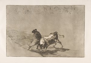 14. tábla a Tauromaquiáról: Falces nagyon ügyes tanítványa, köpenyébe burkolva..., 1816. alkotó: Francisco de Goya