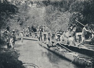 Ro de Sto felfedezése. Anastacio, 1895