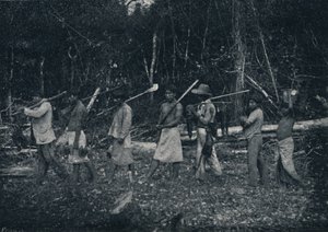 Guarany indiánok, visszatérve egy Caþadából, 1895