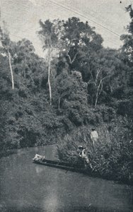 S. Anastacio folyó, 1895