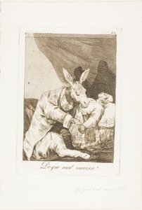 Milyen betegségben fog meghalni?, 40-es lemez Los Caprichosból alkotó: Francisco Jose de Goya y Lucientes