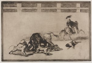 Bikaviadalok: Elengedik a kutyákat a bikán, 1876. alkotó: Francisco de Goya