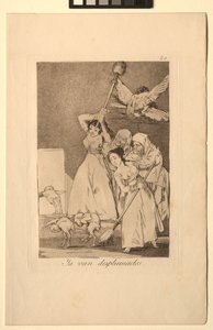 Caprichos: There They Go Plucked, azaz gyapjú. alkotó: Francisco de Goya