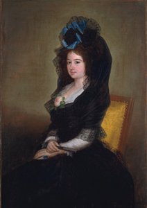 Narcisa Barañana de Goicoechea, 1815-6 alkotó: Francisco de Goya