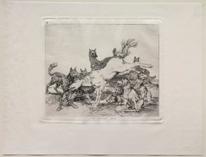 A háború borzalmai: jól védi magát alkotó: Francisco de Goya