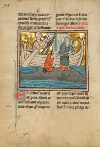 Halász a bálna hátán, 1277 vagy azután