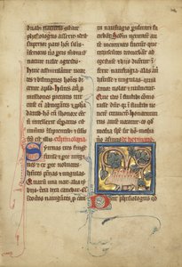 Egy sündisznó egy bestiáriumból Ms. Ludwig XV 4, fol. 82, 1280-1300 körül (tempera, toll és tinta, aranylevél és festék pergamenre)