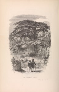A botanikus kert, Az emlősök leírása és viselkedése, 1842.
