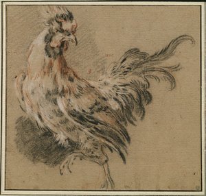Egy kakas tanulmányozása alkotó: François Boucher