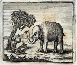 Az elefánt és a Jupiter majom. Jean de La Fontaine (1621-95) meséi. Illusztráció: François Chauveau (1613-1676). 1728-as kiadás.