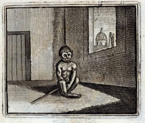 A majom. Jean de La Fontaine (1621-95) meséi. Illusztráció: François Chauveau (1613-1676). 1728-as kiadás. alkotó: Francois Chauveau
