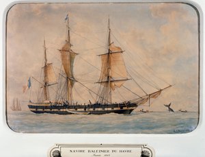 Bálnavadász hajó Havre-ban