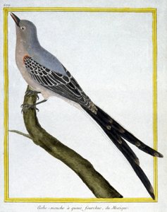 Legyek alkotó: Francois Nicolas Martinet