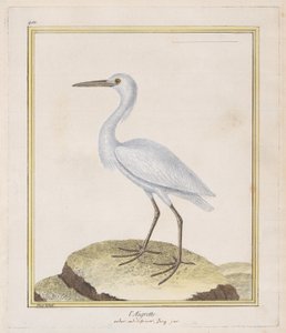 A kócsag kócsag, 1770-86. alkotó: Francois Nicolas Martinet
