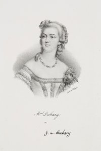 Madame Dubary portréja alkotó: Francois Seraphin Delpech