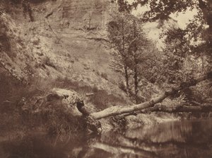 Folyópart, c. 1855.